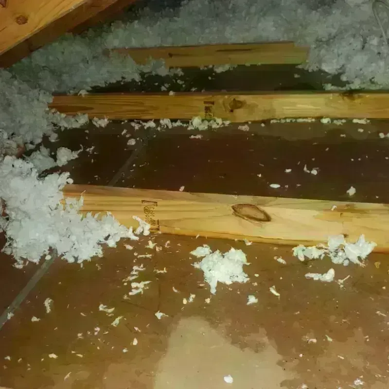 Attic Water Damage in Central High, OK