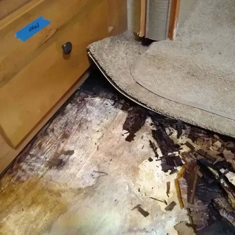 Wood Floor Water Damage in Central High, OK